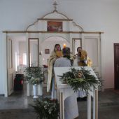 img 7868